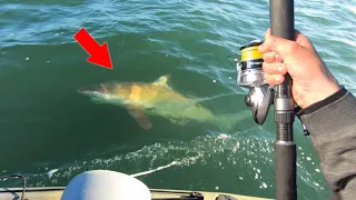 Kayak Fishing Turned Dangerous (MONSTER Shark)