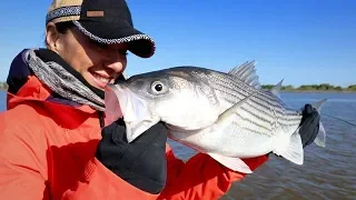 CA DELTA STRIPERS 101 with Intimidator Sport Fishing