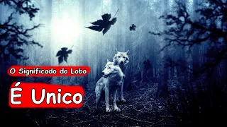 LOBO, SIGNIFICADO ESPIRITUAL