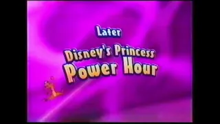 Toon Disney Up Next bumper- Timon & Pumbaa to Disney Princess Power Hour (mid 2004)