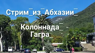 ПРЯМОЙ ЭФИР ИЗ ГАГРЫ🌴 ЗИМА 2022 ПРОГУЛКИ ПО АБХАЗИИ ЦЕНТРАЛЬНЫЙ ПЛЯЖ