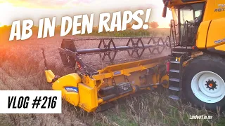 Vlog #216 Ab in den Raps – trocken oder feucht?