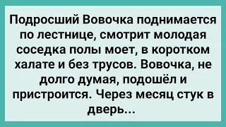 Вовочка и Молодая Соседка в Подъезде! Сборник Свежих Смешных Жизненных Анекдотов!