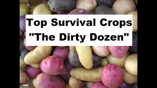 Top Survival Crops