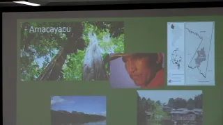 Pulses of the territory: Local officers, national parks, indigenous territories in Colombia pt. 1