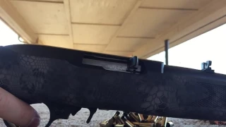 Ruger 10/22 Kryptec Edition Close Up