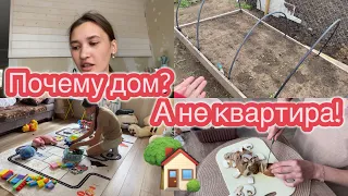 ПОЧЕМУ ДОМ? А НЕ КВАРТИРА! ПЛОХОЙ ГАЗОН// КУКУРУЗА НЕ ВЗОШЛА// МОТИВАЦИЯ НА УБОРКУ