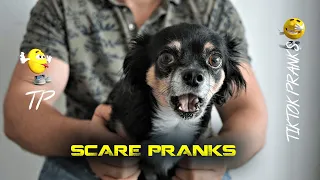 Ultimate scare pranks 2021 😂 Try not to laugh 😅👍 Best compilation of scare cam #31