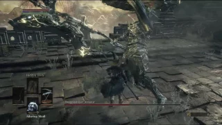 Dragonslayer Armour - NG+7, SL1. Friede's Great Scythe and terrible quality.