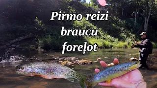 Pirmo reizi braucu foreļot! Pirmās strauta foreles mūžā un foreļu copes specifika.