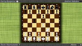 Garry Kasparov (white) vs Andrei Sokolov (black)