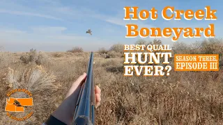 Best Quail hunt ever? - Hot Creek Boneyard - A Banner Quail Hunt