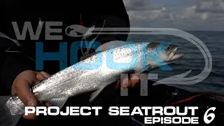 Project Seatrout / Episode 6 / Twitchbait oder Meerforellen Blinker? Was fängt besser!