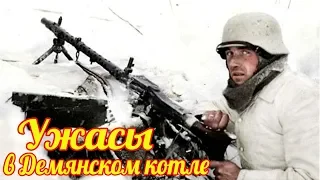 Дивизия СС "Тотенкопф" зима 1942 г. в "Демянском котле" на грани безумия и уничтожения.