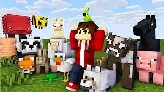 Alle Tiere Zähmen und Vermehren in Minecraft | LarsLP