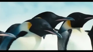 March Of The Penguins (July 2005)