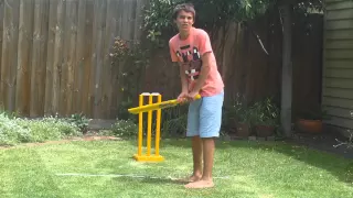 Backyard Cricket 2011