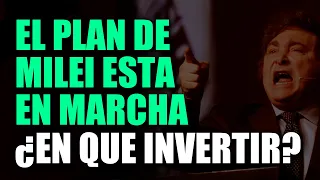 En qué invertir en 𝗹𝗮 𝗔𝗿𝗴𝗲𝗻𝘁𝗶𝗻𝗮 𝗱𝗲 𝗠𝗶𝗹𝗲𝗶 | Las mejores inversiones para el 2024 y el balance de 2023