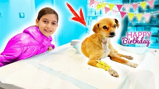 👧🏻 TEO Salvează un CĂȚEL 🐶 CADOU de ZIUA Ei 🎁 LA MULTI ANI, TEO 🥳