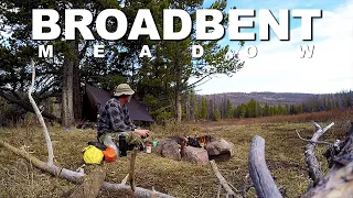 Broadbent Meadow | High Uintas Wilderness, Utah