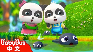 小蝌蚪找媽媽 | 經典中文兒歌 | 熱門國語兒歌 | Kids Song | 童謠 | 動畫 | 卡通片 | BabyBus | 寶寶巴士