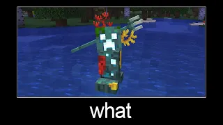 Minecraft wait what meme part 158 (creeper drowned)