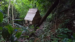 Build a tree house, survival shelter, make a chair and cook