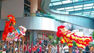 Triple Acrobatic Lion Dance