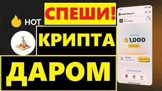 HOT от NEAR Крипто Проект года? HOT запустили L2 для HOT майнинга! Новые бейджи. Зарабатываем Крипту