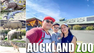 AUCKLAND ZOO Adventure || AUCKLAND, NEW ZEALAND