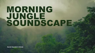 Morning Jungle Sounds - Vietnam. 5 Hours+ Relaxing Nature Sounds for Sleeping, Meditation or Work.