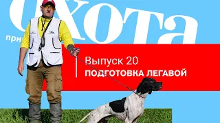 Выпуск 20.  Подготовка легавой.