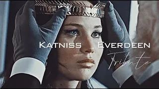 Katniss Everdeen Tribute | "Someday I'll explain it to you."