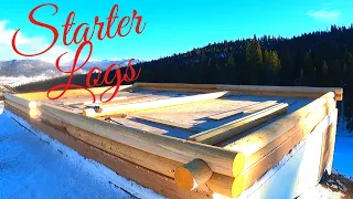 Log Cabin Build, Starter Logs