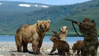 Егерь спас от гибели медвежат, медведица этого не забыла