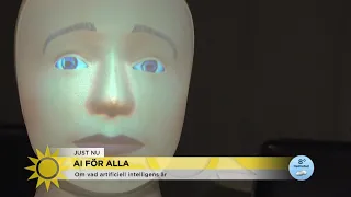 Grundkurs i artificiell intelligens: "AI påverkar alla – viktigt att förstå hu… - Nyhetsmorgon (TV4)