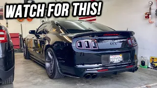 What To Look For When Buying 11-14 Mustang GT 5.0!