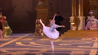 Cinderella Pas de Deux - Sleeping Beauty