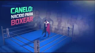 Canelo: Nacido para boxear