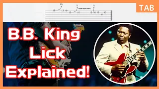 B.B. King Blues Guitar Lick 4 From I Believe To My Soul Live In Africa 1974 / Blues Guitar Lesson