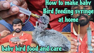 How to make baby bird feeding syringe at home made hand feeding farmula for your Bird baby food bird
