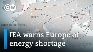 International Energy Agency warns Europe of insufficient supplies to see through winter | DW News