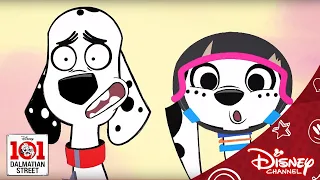 101 Dalmatian Street | Prank Puppies | Disney Channel NL