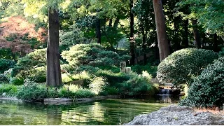 Musica Relajante, Calmar la Mente, Música Zen, Relajación Dormir