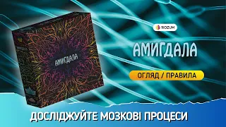 Амигдала / Amygdala / Огляд та відеоправила