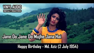 Shahenshah - Jaane Do Jaane Do Mujhe Jaana Hai | Mohammad Aziz | Vinyl Audio - 2K Video 90's Hits