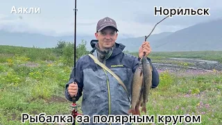 Рыбалка на речке Аякли за полярным кругом. Поймали хариусов. Ночь в палатке.