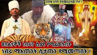 በነብር የሚጠበቀው በበቁ አባት የተመሰረተው ቤተክርስቲያን ታምር እየሰራ ነው | ዋሻ መካነ ቅዱሳን አቡነ ገብረመንፈስ ቅዱስ ቤተክርስቲያን