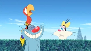 Oggy and the Cockroaches - Buddy Parrot (S04E13) Full Episode in HD