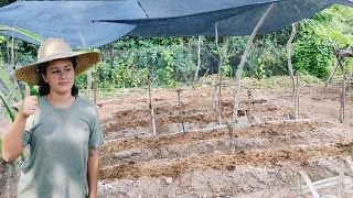 FOI FEITA A HORTA DOS SONHOS E QUEM CHEGOU DE SURPRESA 😱